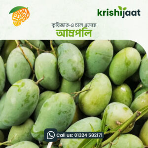 কৃষিজাত আম্রপালি আম - ৫ কেজি